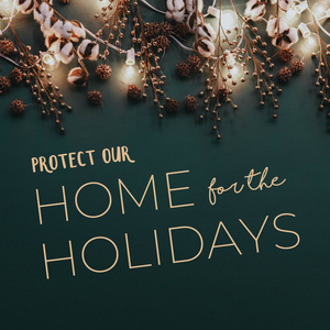 Protect Our Home for the Holidays!