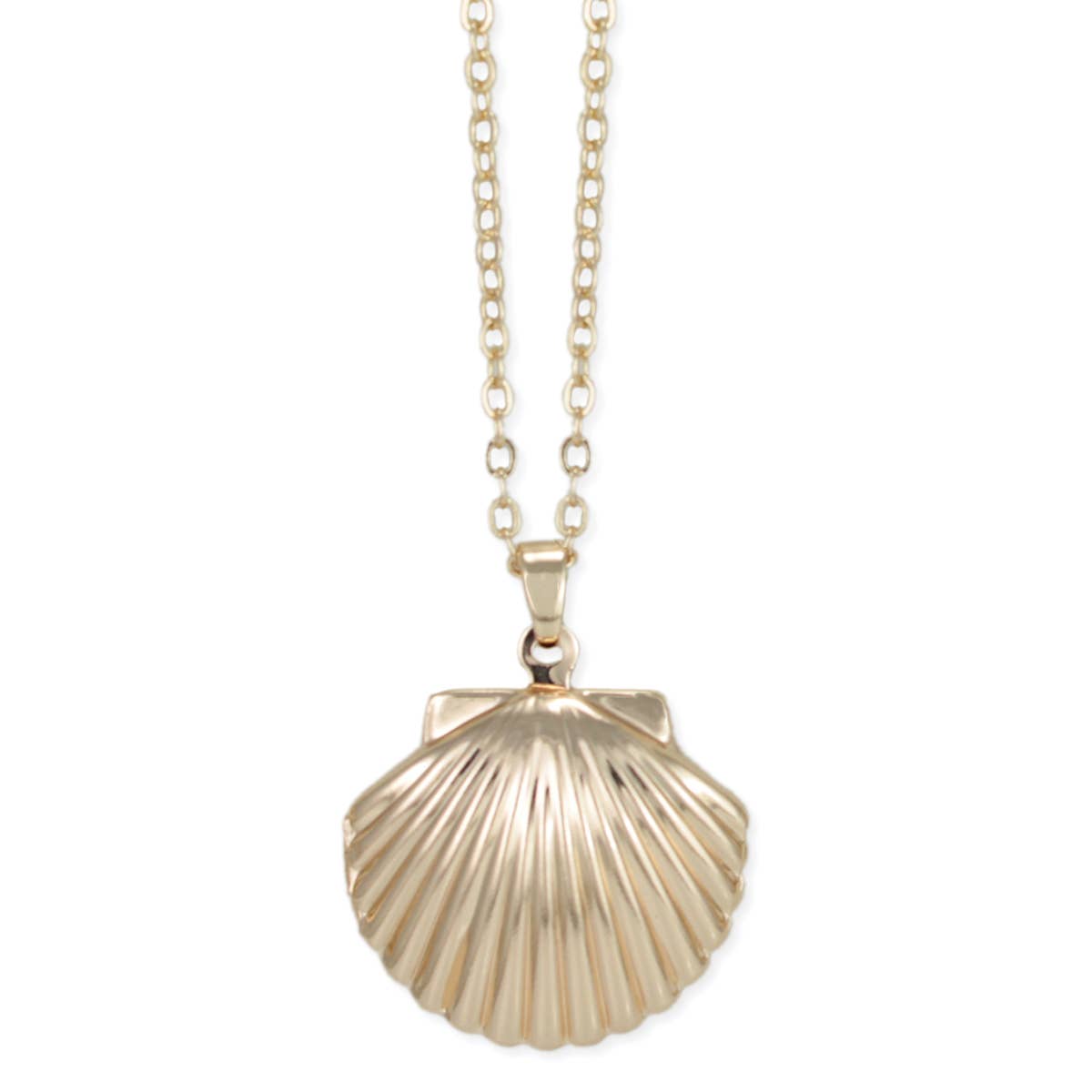 Shell Locket Necklace