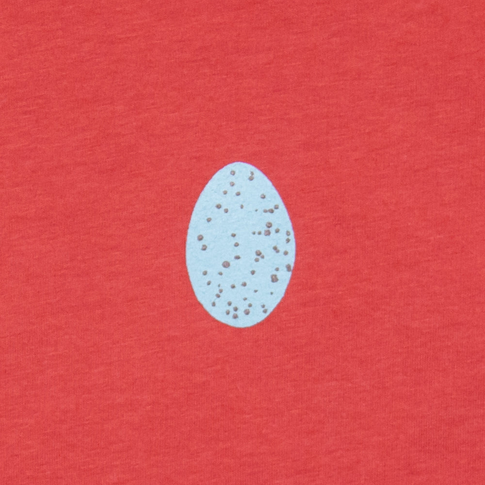 Robin's Egg Toddler Tee