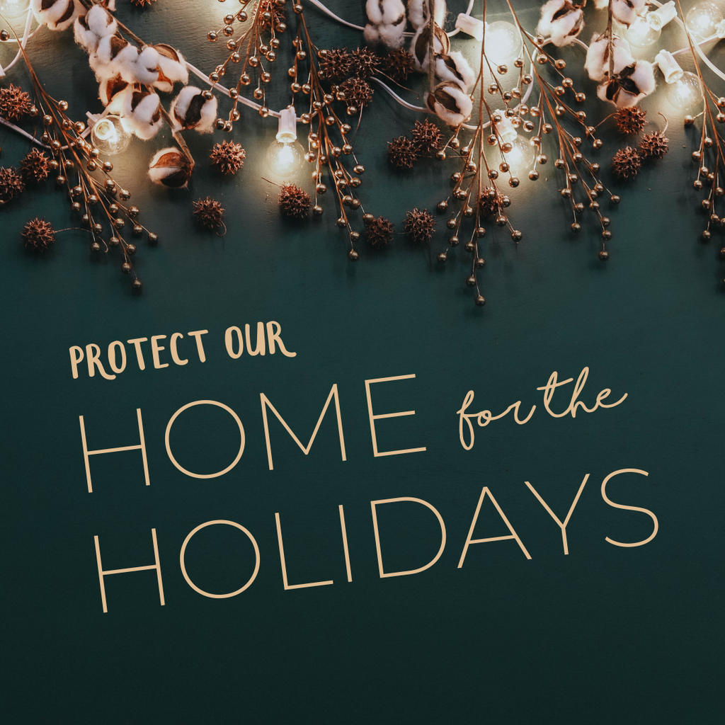 Protect Our Home for the Holidays!