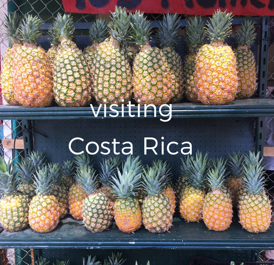 Adventures  |  Visiting Costa Rica v2.0