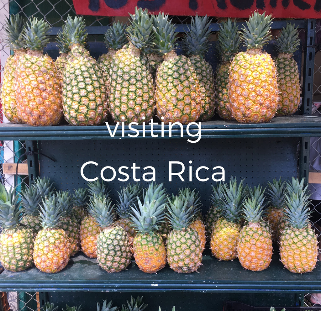 Adventures  |  Visiting Costa Rica v2.0