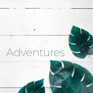 Adventures  |  About This Topic
