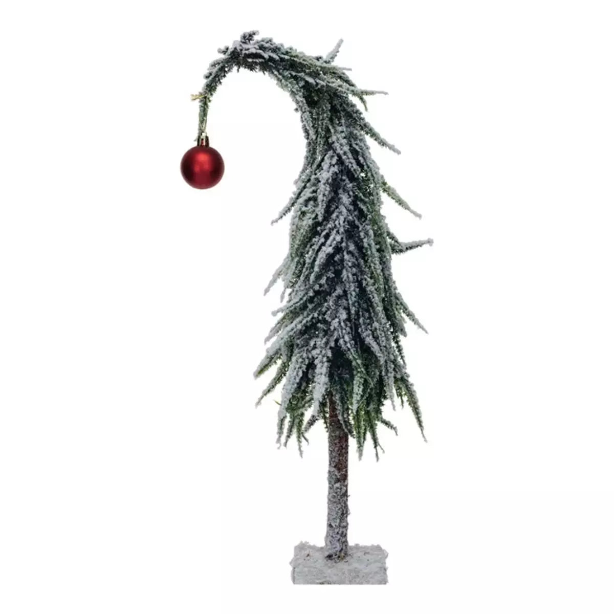 Drooping Evergreen