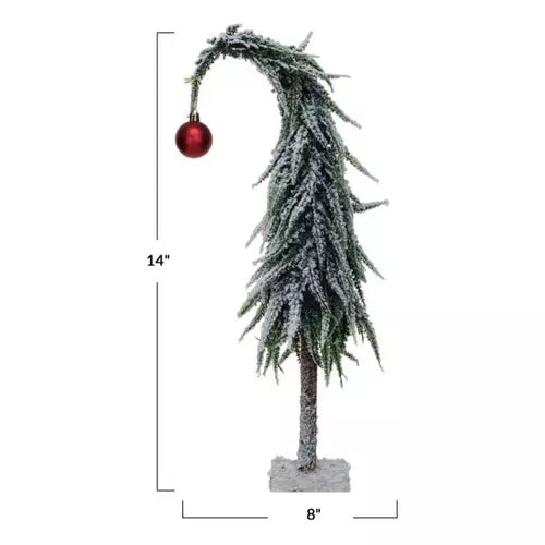 Drooping Evergreen