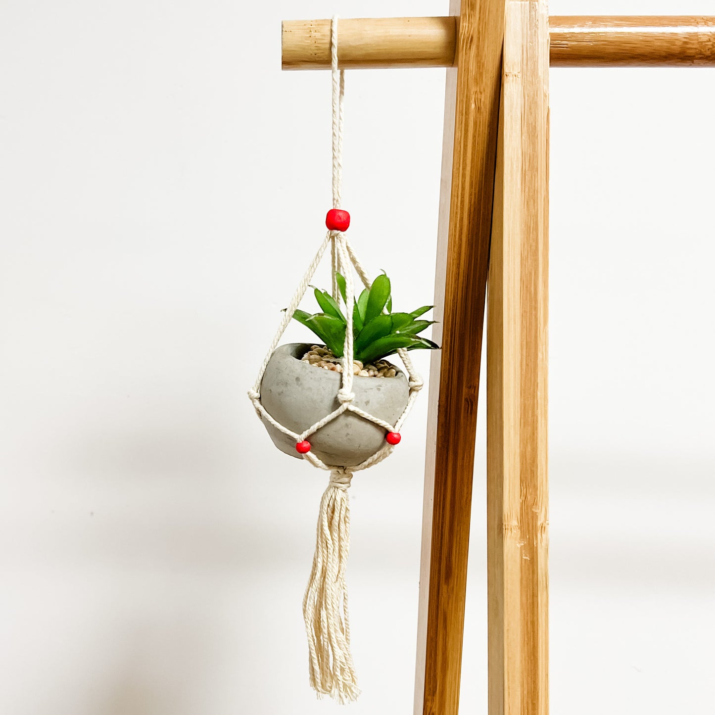 Hanging Plant Ornament