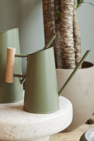 Sage Green Watering Can