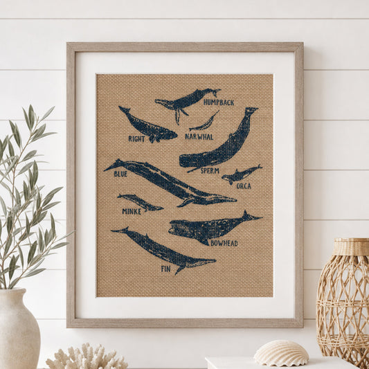 Whale Species 8x10 Burlap Art Print