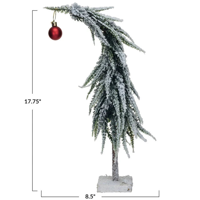 Drooping Evergreen