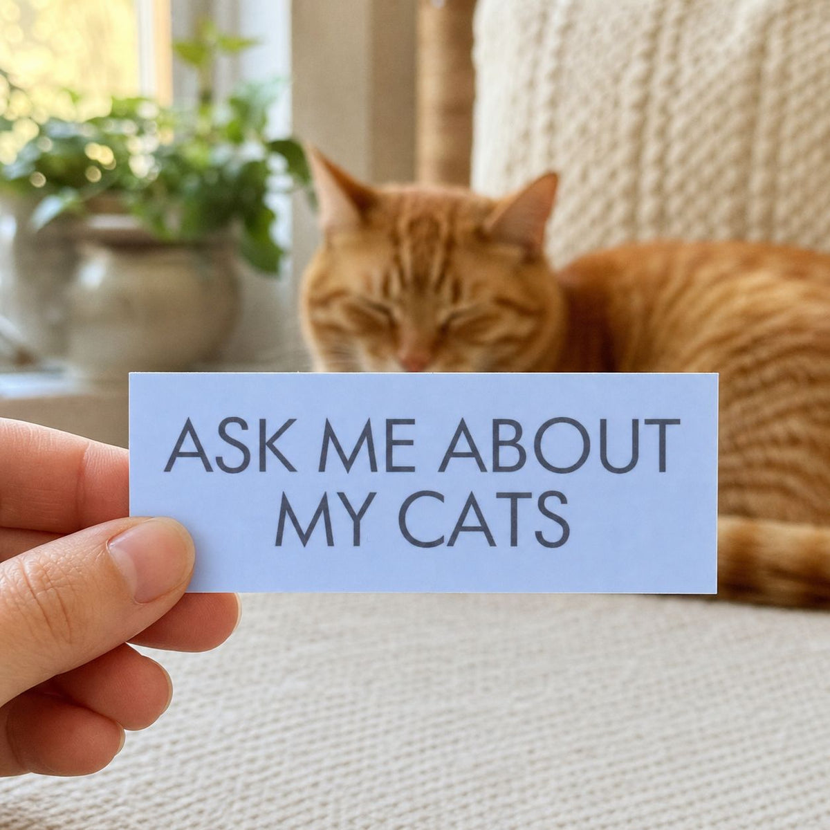 Ask Me About My Cats Sticker