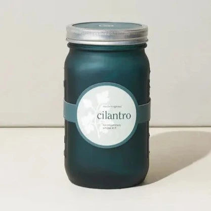 Cilantro Garden Jar