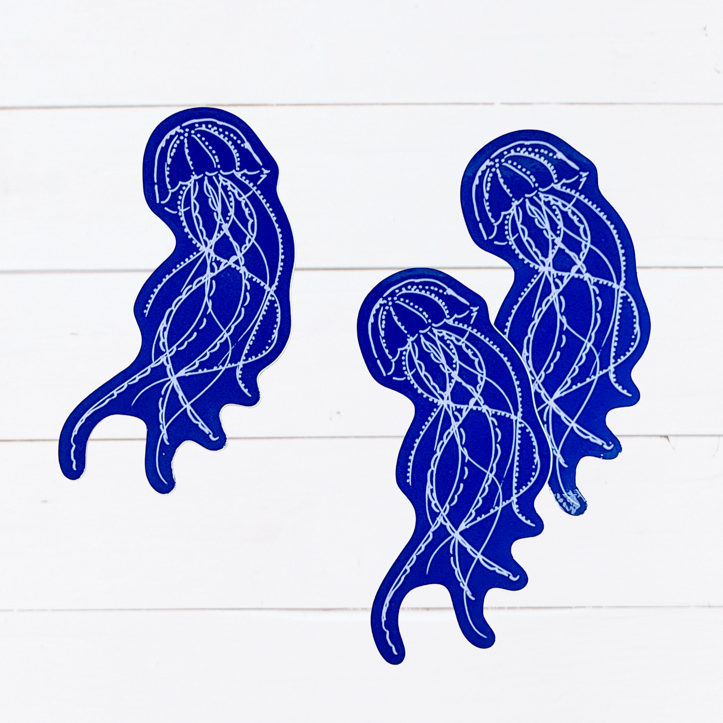 Jellyfish Sticker