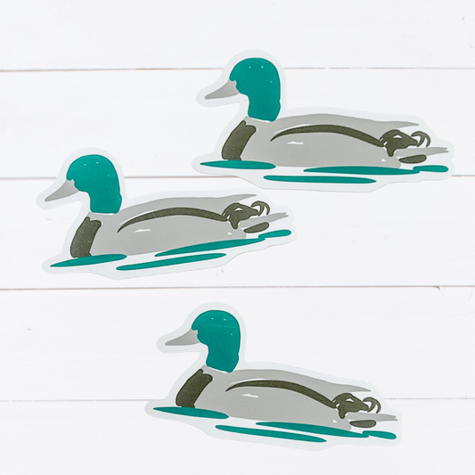 Mallard Duck Sticker