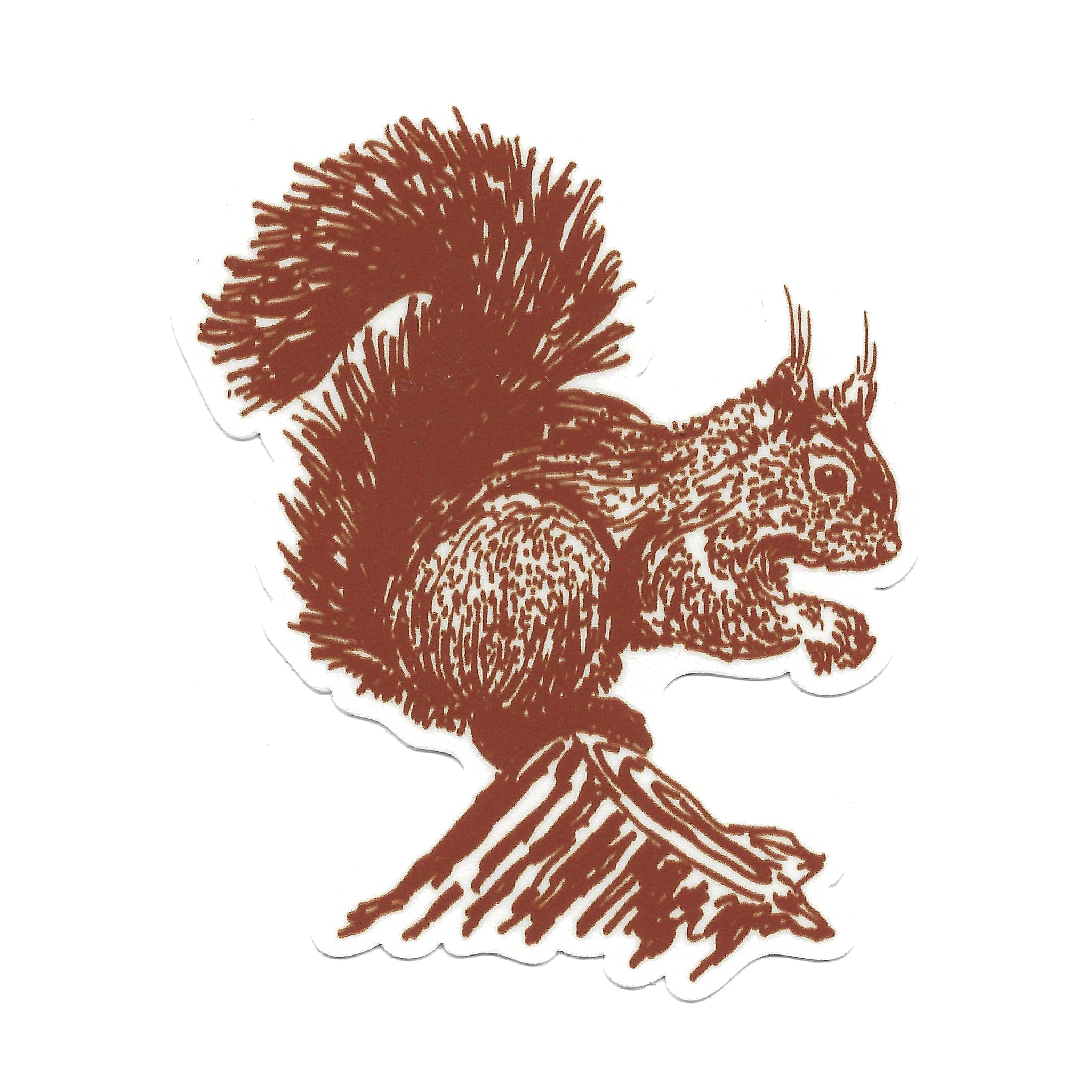 Red Squirrel Sticker