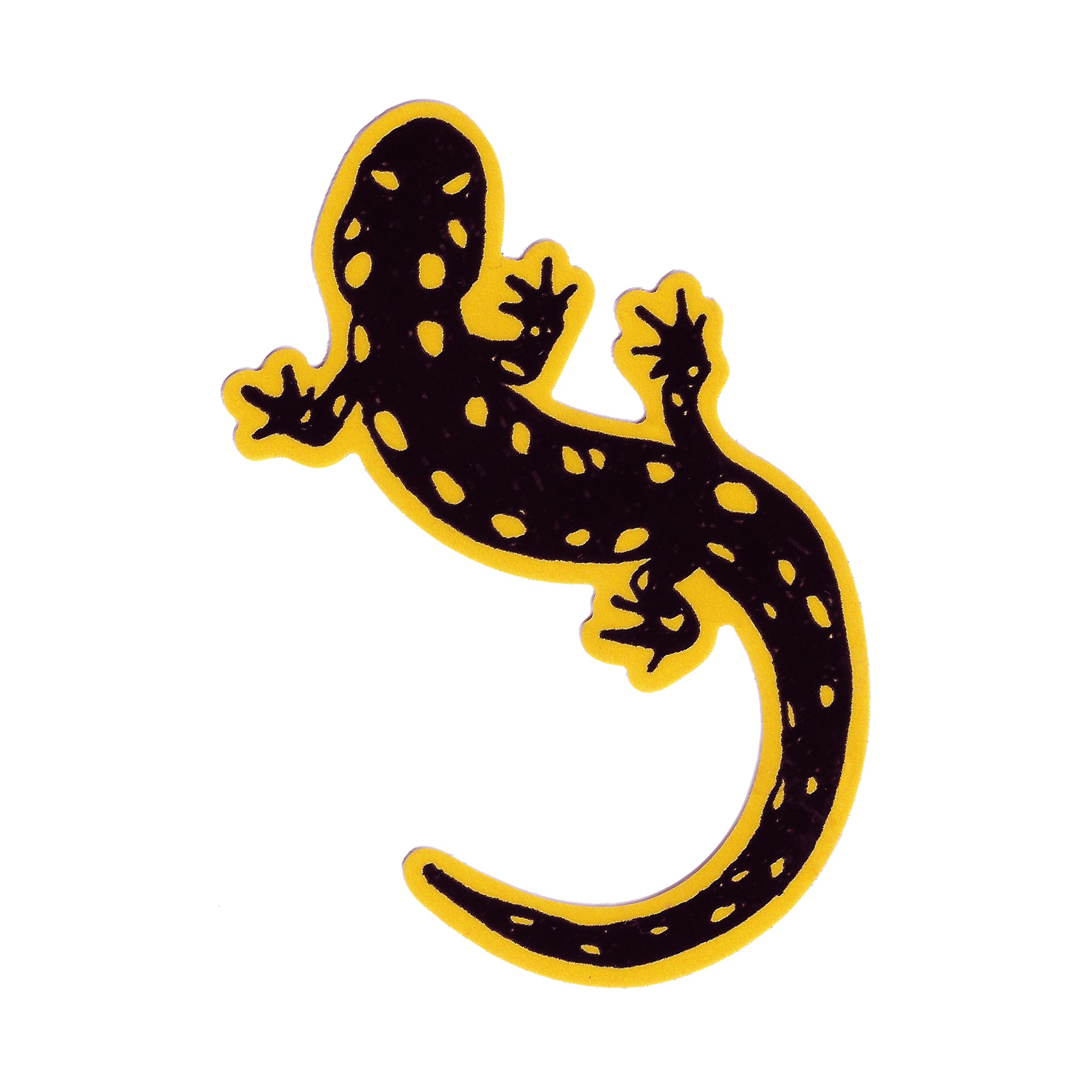 Spotted Salamander Sticker