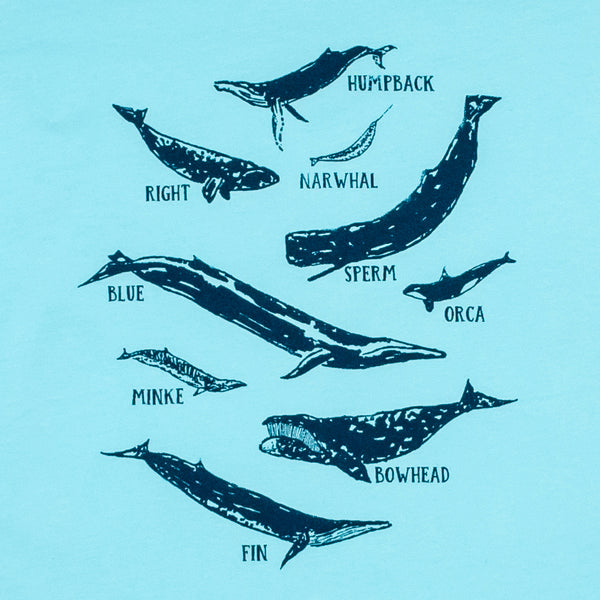Whale Species Chart Girls Princess-Cut Tee