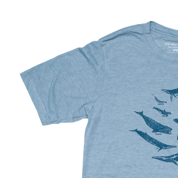 Whale Species Chart Tee