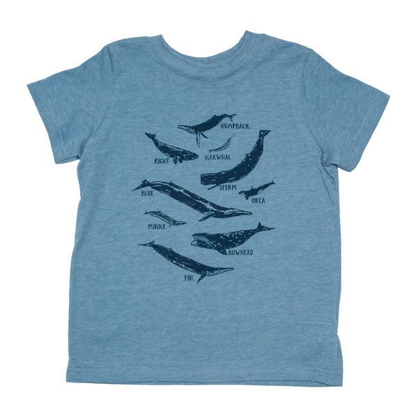 Whale Species Chart Toddler Tee